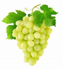 white Seedless Grapes bunch Each